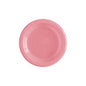 Plato Redondo Deluxe Rosado 6" (15 cm) x10 unidades Sempertex